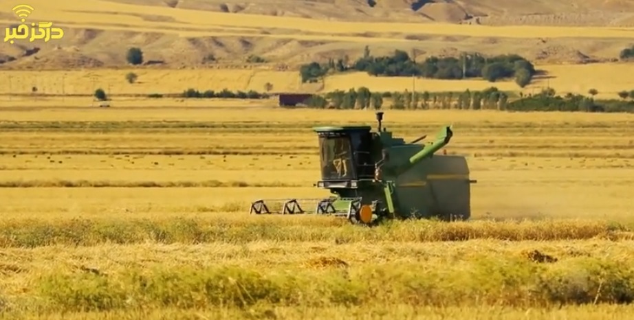 برداشت گندم از سطح مزارع درگز