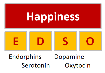 چهار هورمون لذت